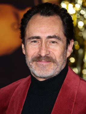 Meksikalı aktör Demian Bichir, 15 Aralık 2022 'de ABD' nin Kaliforniya eyaletinin Los Angeles kentinde bulunan Akademi Sinema Müzesi 'nde düzenlenen Paramount Pictures' Babylon 'un Küresel Galası' na geldi.. 