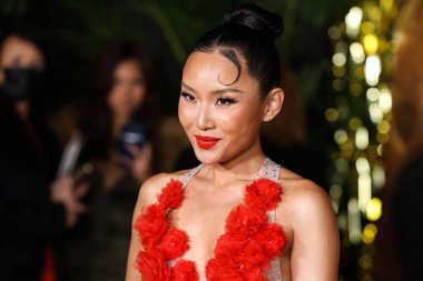 Amerikalı aktris Li Jun Li, 15 Aralık 2022 'de ABD' nin Kaliforniya eyaletinin Los Angeles kentinde bulunan Akademi Sinema Müzesi 'nde düzenlenen Paramount Pictures' Babylon 'un Küresel Prömiyer Gösterimi' ne geldi.. 