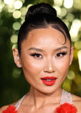 Amerikalı aktris Li Jun Li, 15 Aralık 2022 'de ABD' nin Kaliforniya eyaletinin Los Angeles kentinde bulunan Akademi Sinema Müzesi 'nde düzenlenen Paramount Pictures' Babylon 'un Küresel Prömiyer Gösterimi' ne geldi.. 