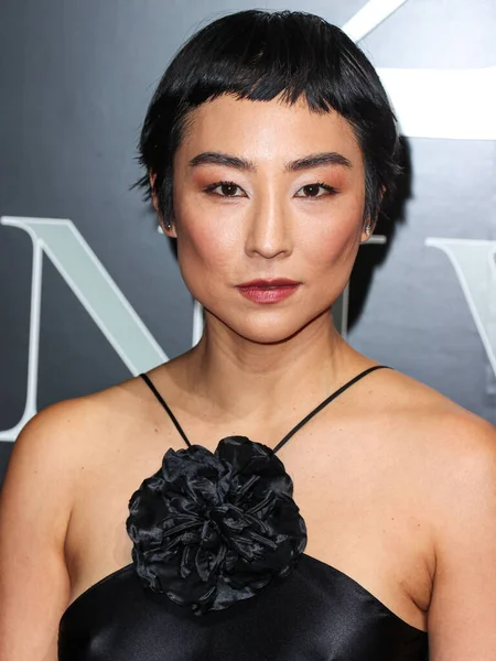 stock image American actress Greta Lee arrives at the 20th Annual Unforgettable Gala Asian American Awards presented by Character Media held at The Beverly Hilton Hotel on December 17, 2022 in Beverly Hills, Los Angeles, California, United States. 