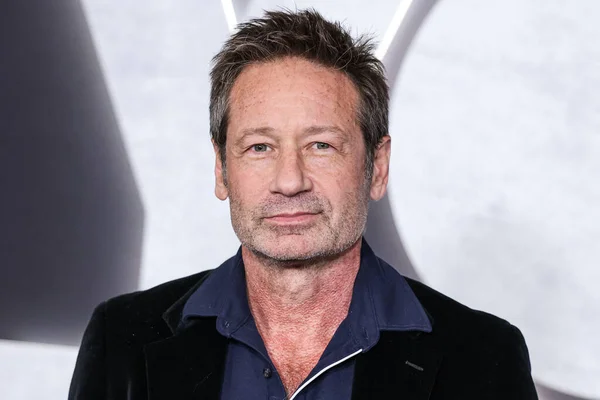 American Actor Writer Producer Director Novelist Singer Songwriter David Duchovny — Stock Photo, Image