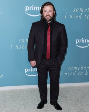 Amerikalı aktör Haley Joel Osment, 1 Şubat 2023 'te Culver Tiyatrosu' nda düzenlenen Amazon Prime Video 'nun Los Angeles' taki galasına geldi..