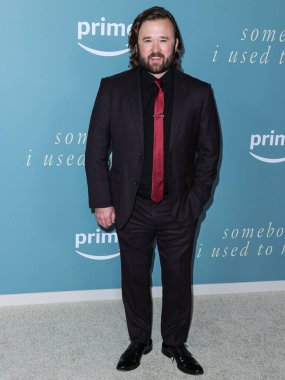 Amerikalı aktör Haley Joel Osment, 1 Şubat 2023 'te Culver Tiyatrosu' nda düzenlenen Amazon Prime Video 'nun Los Angeles' taki galasına geldi..