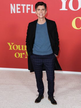 Tig Notaro, Netflix 'in 