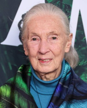 Dr. Jane Goodall 14 Nisan 2023 'te Los Angeles' taki Kaliforniya Bilim Merkezi 'nde gerçekleştirilen Apple TV + Original Series' Jane 'sezon 1' e geldi.