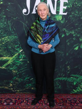 Dr. Jane Goodall 14 Nisan 2023 'te Los Angeles' taki Kaliforniya Bilim Merkezi 'nde gerçekleştirilen Apple TV + Original Series' Jane 'sezon 1' e geldi.