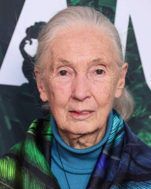 Dr. Jane Goodall 14 Nisan 2023 'te Los Angeles' taki Kaliforniya Bilim Merkezi 'nde gerçekleştirilen Apple TV + Original Series' Jane 'sezon 1' e geldi.