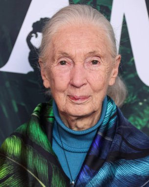 Dr. Jane Goodall 14 Nisan 2023 'te Los Angeles' taki Kaliforniya Bilim Merkezi 'nde gerçekleştirilen Apple TV + Original Series' Jane 'sezon 1' e geldi.