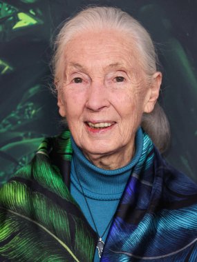 Dr. Jane Goodall 14 Nisan 2023 'te Los Angeles' taki Kaliforniya Bilim Merkezi 'nde gerçekleştirilen Apple TV + Original Series' Jane 'sezon 1' e geldi.