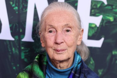 Dr. Jane Goodall 14 Nisan 2023 'te Los Angeles' taki Kaliforniya Bilim Merkezi 'nde gerçekleştirilen Apple TV + Original Series' Jane 'sezon 1' e geldi.