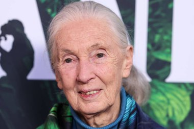 Dr. Jane Goodall 14 Nisan 2023 'te Los Angeles' taki Kaliforniya Bilim Merkezi 'nde gerçekleştirilen Apple TV + Original Series' Jane 'sezon 1' e geldi.