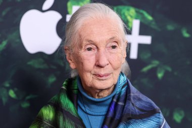 Dr. Jane Goodall 14 Nisan 2023 'te Los Angeles' taki Kaliforniya Bilim Merkezi 'nde gerçekleştirilen Apple TV + Original Series' Jane 'sezon 1' e geldi.