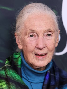 Dr. Jane Goodall 14 Nisan 2023 'te Los Angeles' taki Kaliforniya Bilim Merkezi 'nde gerçekleştirilen Apple TV + Original Series' Jane 'sezon 1' e geldi.