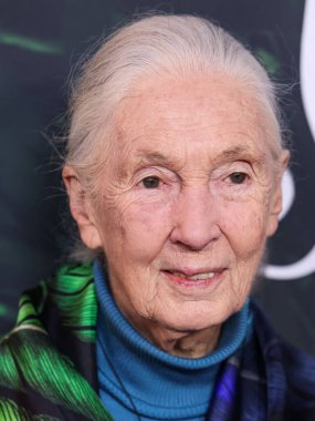 Dr. Jane Goodall 14 Nisan 2023 'te Los Angeles' taki Kaliforniya Bilim Merkezi 'nde gerçekleştirilen Apple TV + Original Series' Jane 'sezon 1' e geldi.