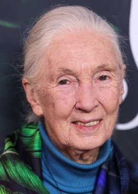 Dr. Jane Goodall 14 Nisan 2023 'te Los Angeles' taki Kaliforniya Bilim Merkezi 'nde gerçekleştirilen Apple TV + Original Series' Jane 'sezon 1' e geldi.