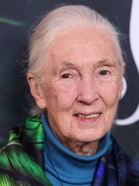 Dr. Jane Goodall 14 Nisan 2023 'te Los Angeles' taki Kaliforniya Bilim Merkezi 'nde gerçekleştirilen Apple TV + Original Series' Jane 'sezon 1' e geldi.