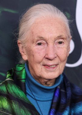 Dr. Jane Goodall 14 Nisan 2023 'te Los Angeles' taki Kaliforniya Bilim Merkezi 'nde gerçekleştirilen Apple TV + Original Series' Jane 'sezon 1' e geldi.