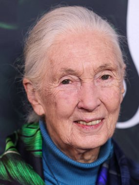 Dr. Jane Goodall 14 Nisan 2023 'te Los Angeles' taki Kaliforniya Bilim Merkezi 'nde gerçekleştirilen Apple TV + Original Series' Jane 'sezon 1' e geldi.