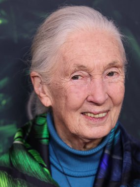 Dr. Jane Goodall 14 Nisan 2023 'te Los Angeles' taki Kaliforniya Bilim Merkezi 'nde gerçekleştirilen Apple TV + Original Series' Jane 'sezon 1' e geldi.