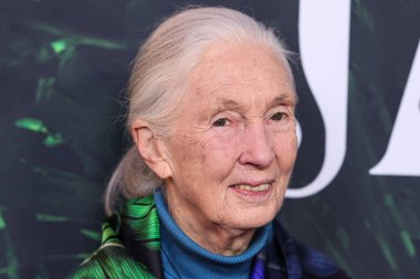 Dr. Jane Goodall 14 Nisan 2023 'te Los Angeles' taki Kaliforniya Bilim Merkezi 'nde gerçekleştirilen Apple TV + Original Series' Jane 'sezon 1' e geldi.