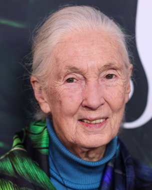Dr. Jane Goodall 14 Nisan 2023 'te Los Angeles' taki Kaliforniya Bilim Merkezi 'nde gerçekleştirilen Apple TV + Original Series' Jane 'sezon 1' e geldi.