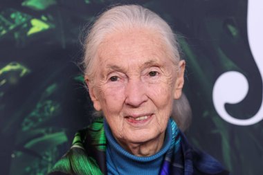 Dr. Jane Goodall 14 Nisan 2023 'te Los Angeles' taki Kaliforniya Bilim Merkezi 'nde gerçekleştirilen Apple TV + Original Series' Jane 'sezon 1' e geldi.