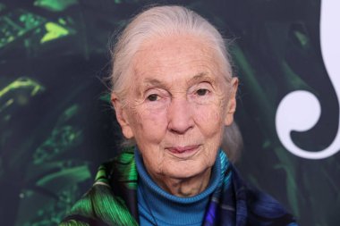 Dr. Jane Goodall 14 Nisan 2023 'te Los Angeles' taki Kaliforniya Bilim Merkezi 'nde gerçekleştirilen Apple TV + Original Series' Jane 'sezon 1' e geldi.