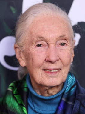 Dr. Jane Goodall 14 Nisan 2023 'te Los Angeles' taki Kaliforniya Bilim Merkezi 'nde gerçekleştirilen Apple TV + Original Series' Jane 'sezon 1' e geldi.