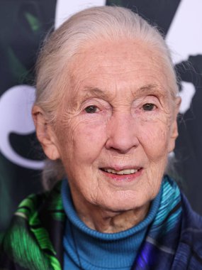 Dr. Jane Goodall 14 Nisan 2023 'te Los Angeles' taki Kaliforniya Bilim Merkezi 'nde gerçekleştirilen Apple TV + Original Series' Jane 'sezon 1' e geldi.