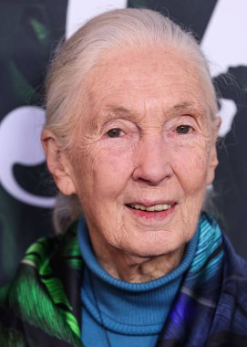Dr. Jane Goodall 14 Nisan 2023 'te Los Angeles' taki Kaliforniya Bilim Merkezi 'nde gerçekleştirilen Apple TV + Original Series' Jane 'sezon 1' e geldi.