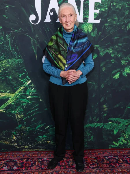 Dr. Jane Goodall 14 Nisan 2023 'te Los Angeles' taki Kaliforniya Bilim Merkezi 'nde gerçekleştirilen Apple TV + Original Series' Jane 'sezon 1' e geldi.