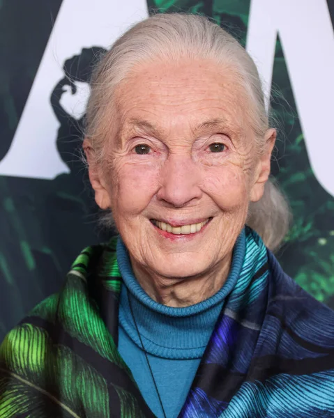 Dr. Jane Goodall 14 Nisan 2023 'te Los Angeles' taki Kaliforniya Bilim Merkezi 'nde gerçekleştirilen Apple TV + Original Series' Jane 'sezon 1' e geldi.