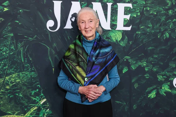 Dr. Jane Goodall 14 Nisan 2023 'te Los Angeles' taki Kaliforniya Bilim Merkezi 'nde gerçekleştirilen Apple TV + Original Series' Jane 'sezon 1' e geldi.