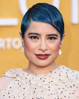 Peyvand Sadeghian, Netflix 'in 