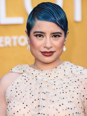 Peyvand Sadeghian, Netflix 'in 