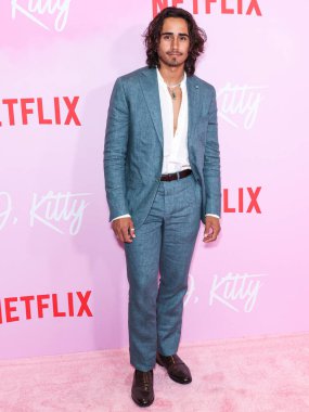 Michael Cimino, Netflix 'in 