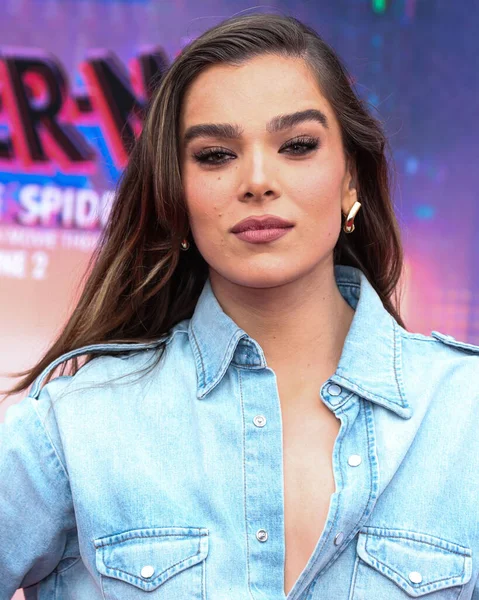 Amerikalı aktris ve şarkıcı Hailee Steinfeld, 30 Mayıs 2023 'te Westwood, Los Angeles, Kaliforniya, ABD' deki Regency Village Theater 'da düzenlenen' Örümcek Adam: Across the Spider Verse 'filminin dünya prömiyerine geldi..