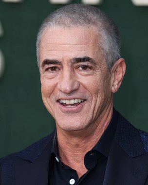 American actor Dermot Mulroney arrives at the Los Angeles Premiere Of Peacock's 'Shooting Stars' held at the Regency Village Theatre on May 31, 2023 in Westwood, Los Angeles, California, United States. clipart