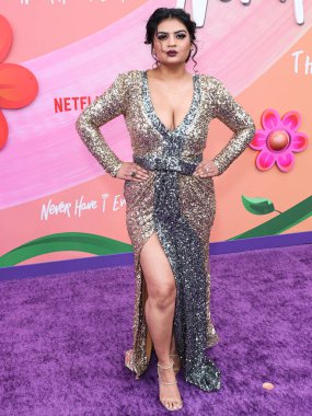 Rini Jain, Netflix 'in 