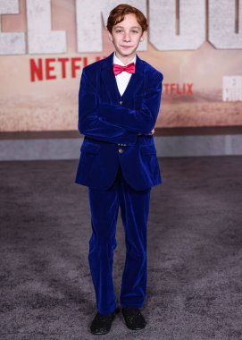 Amerikalı aktör Kayden Koshelev, Netflix 'in 