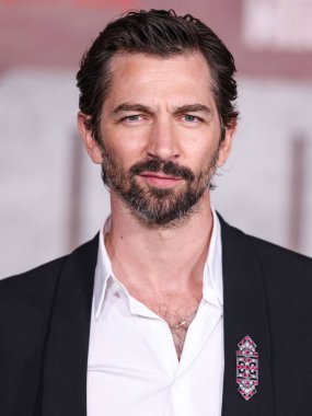 Hollandalı aktör Michiel Huisman, Netflix 'in 