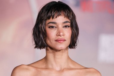 Cezayirli aktris, dansçı ve model Sofia Boutella, 13 Aralık 2023 'te Hollywood, Los Angeles, Kaliforniya, ABD' de bulunan IMAX Çin Tiyatrosu 'nda düzenlenen Netflix' in 