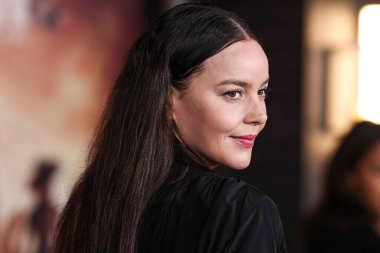 Avustralyalı aktris ve müzisyen Abbie Cornish, Netflix 'in 