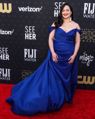 Christian Siriano 'yu giyen Lily Gladstone 14 Ocak 2024' te Santa Monica, Los Angeles, Kaliforniya, ABD 'de düzenlenen The Barker Hangar' da düzenlenen 29..