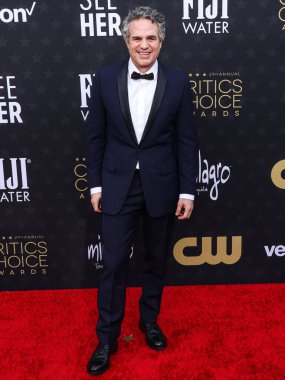 Mark Ruffalo 14 Ocak 2024 'te The Barker Hangar' da düzenlenen 29. Yıllık Eleştirmenler Seçimi Ödülleri 'ne geliyor.. 