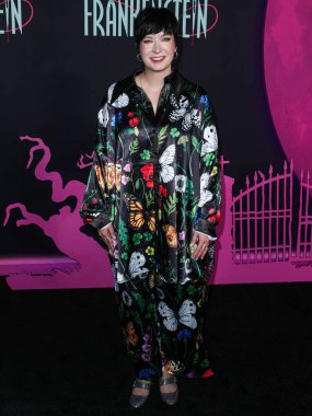 Diablo Cody, Hollywood Atletizm Kulübü 'nde 5 Şubat 2024' te Los Angeles, Los Angeles, Kaliforniya, ABD 'de düzenlenen Odak Özelliklerinin Özel Gösterimi' ne geldi..