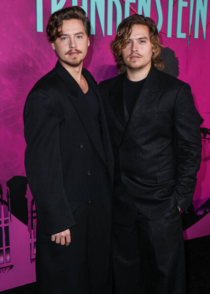Коул Спраус и брат Дилан Спраус прибывают на специальный показ "Lisa Frankenstein" в Голливудском спортивном клубе 5 февраля 2024 года в Голливуде, Лос-Анджелес, Калифорния, США.