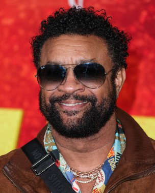 Shaggy, 6 Şubat 2024 'te Westwood, Los Angeles, Kaliforniya, ABD' deki Regency Village Theatre 'da düzenlenen 