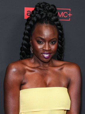 Danai Gurira, 7 Şubat 2024 'te Hollywood, Los Angeles, Kaliforniya, ABD' deki Linwood Dunn Tiyatrosu 'nda düzenlenen 1. Sezon' da Los Angeles 'taki AMC +' The Walking Dead 'in galasına geldi.