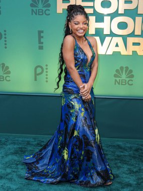 Roberto Cavalli 'nin Jimmy Choo ayakkabıları ve Kallati mücevherleriyle arşiv elbisesi giyen Halle Bailey, 18 Şubat 2024' te Santa Monica, Los Angeles, Kaliforniya 'da düzenlenen 49.